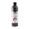 조소냐아크릴물감 250ml S1-601번 Burnt Umber 번트 엄버