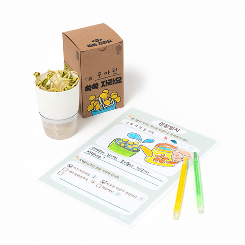 민화샵 콩나물 키우기 키트