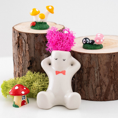 민화샵[과학] 모스 인형 식물 화분 봄 만들기